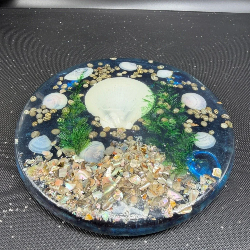 Vintage Lucite Seashell Trivet 6 Inch Round Clear Resin Coastal Decor Blue White